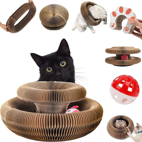 1/2pcs Magical Organ Cat Scratching Board, Wear-resistant Indoor Interactive Pet Toys-Magic Organ Cat Scratcher Board With Circular Ball Track - Cardboard Scratching Pad For Cats-Cat Interactive Toy