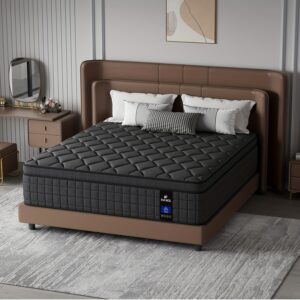 8in/10in/12in/14in Twin, Full, Queen, King, Mattress Memony Foam And Spring, Hybrid Mattress, Medium Firmness, Lumbar Support, for Home RoomsHotels, Boxed,