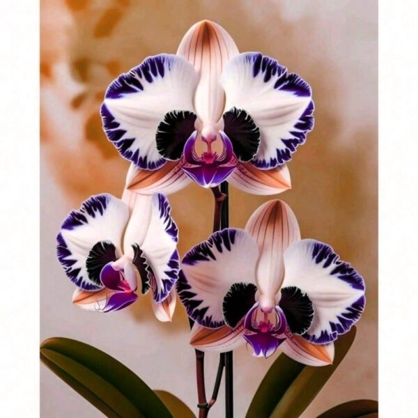 164Pcs Indoor Plants Perennial Flower Seeds, Orchid Seeds, Planted Flowers Potted Tree Seeds Supply, Hardy Suitable for DIY Gardens, Home Gardens, Pots and Yards - Ideal Gardening Gifts