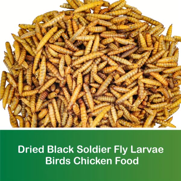 10LBS Dried Black Flyer Larvae - High Calcium And High Protein Feed - Calcium Content Is 85X Higher Than Mealworms - Suitable for Chickens, Ducks, Pigeons, Turtles And Wildbirds