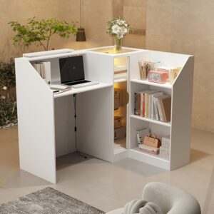 Modern Multi-functional Reception Desk with LED Lighting And Organized Storage Compartments