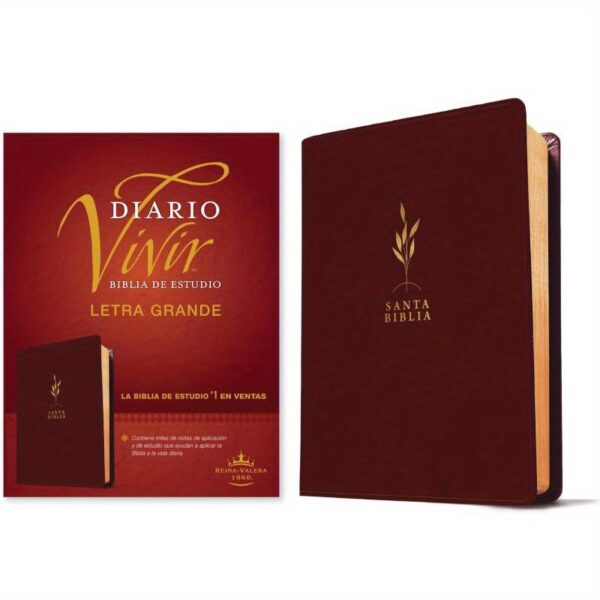 Diario Vivir Study Bible Rvr60, Large Print (Sentipiel, Red Wine, Red Letter)