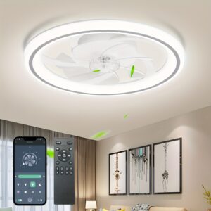 20" Modern Dimmable LED Ceiling Fan with Light And Remote, 3 Color Temperatures, 6 Adjustable Speeds, Flush Mount Design for Bedroom, Night Mode, Timer Setting, Wireless Control, Polished Finish, Bedroom Ceiling Fan | Contemporary Lighting, Smart Home Fan, Home Cooling Solution, Sleek Lighting Fixture, Minimalist Design, Elegant Detailing, Sturdy Build, Remote Control Fan, Smart Home Enthusiasts, Modern Homeowners