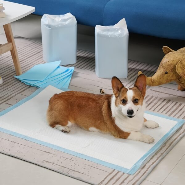 300/ 200/ 100/ 50pcs 23.6 Inch X 23.6 Inch Super Absorbent Waterproof Dog Urine Pad, Puppy Training, Puppy Urine Pad And Pet Toilet Use Christmas Gift